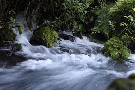 Free Images Nature Forest Waterfall Creek River Stream Jungle