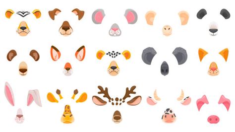 Animal Nose Illustrations Royalty Free Vector Graphics And Clip Art Istock