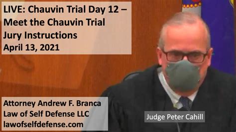 Live Chauvin Trial Day 12 Meet The Chauvin Trial Jury Instructions