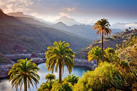 Cheap Canary Island Holidays For Late Summer 2020 Including A Week In