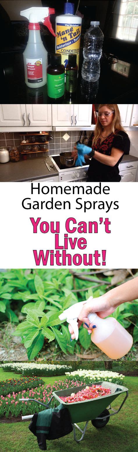 Homemade Garden Sprays That You Cant Live Without Growing