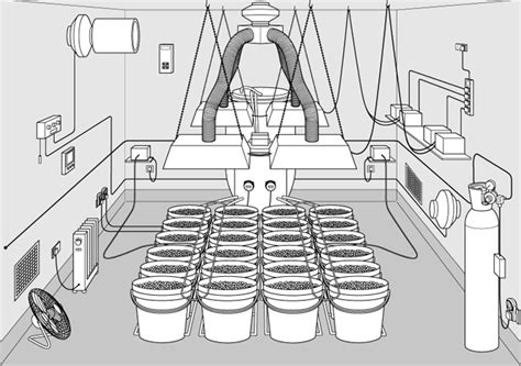 Although many of our regular readers are seasoned keep that in mind when you design your grow room and be generous with the ceiling space, as you after all, practice makes perfect and nowhere is this truer than in marijuana growing. 10 Steps To Setup Your Marijuana Grow Room | Green ...