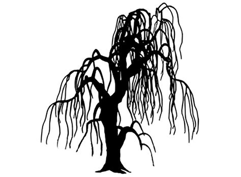 Below you'll find animated willow tree wall decals as well as vinyl photographic wall graphics. Weeping Willow Silhouette at GetDrawings.com | Free for ...