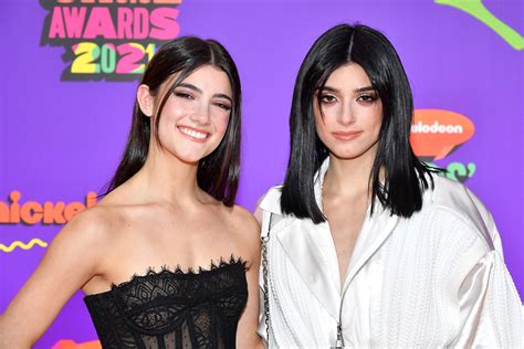 Charli And Dixie Damelio Say Other Tiktok Influencers Often Just Want