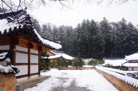 Bercerita tentang cuaca dan perasaan tata bahasa : Rekomendasi Tempat Wisata Musim Dingin di Korea - Visaloka ...