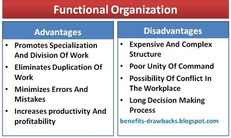 Advantages And Disadvantages Of Functional Organization Benefits