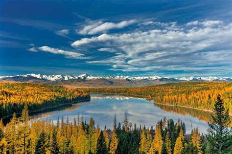 Flathead National Forest Releases Signed Record Of Decision Local