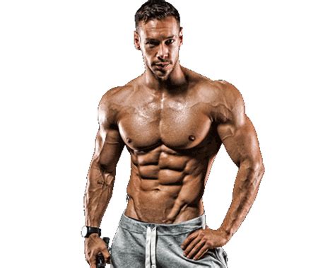 Bodybuilding Png Transparent Image Download Download Free Png Images