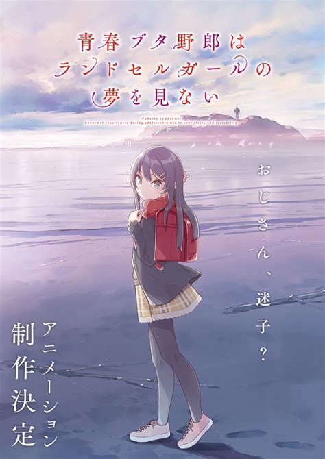 Sakurajima Mai Seishun Buta Yarou Series Image By Mizoguchi Keiji