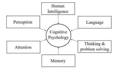Cognitive Psychology Definition Theories And Examples
