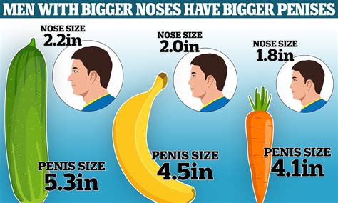 Larger Noses Equal Larger Penises According To Study ﻿ The Lounge