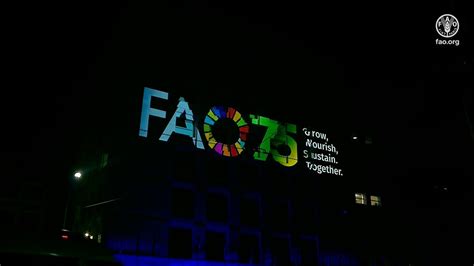 Fao 75th Anniversary Video Mapping Showworld Food Day 2020 Youtube