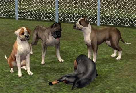 The Sims 3 Pets Guide Sims 4 Pets Junkyard Dog Sims