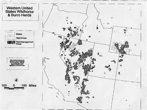 Wild Horses In America Map Zone Map