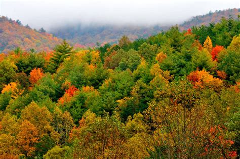 2019 Fall Foliage Report In The Smoky Mountains Otherthe