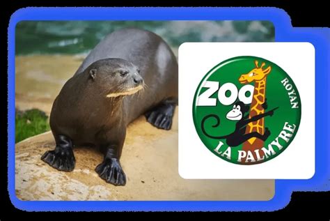 Informations Pratiques Et Tarifs Cse Du Zoo De Palmyre