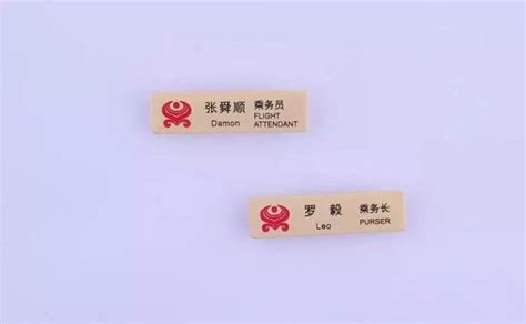 In Stock Authentic Hna Flight Attendant Name Plate Lazada
