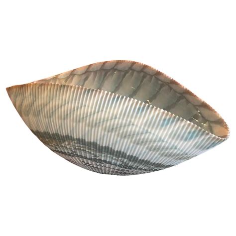Large Seashell Shaped Centerpiece Bowl By Yalos For Murano Glass For Sale At 1stdibs