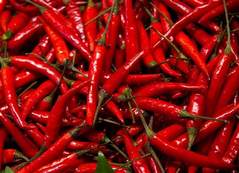 Pin By Maggie Frady On Red Spicy Recipes Chilli Worlds Hottest Chilli