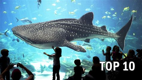 Top 10 Largest Aquariums in the World - YouTube