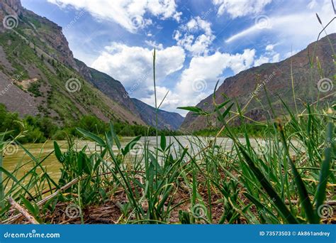 Altai Mountain River Stock Image Image Of Republic Landscape 73573503