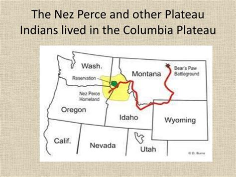 Ppt Nez Perce Indians Powerpoint Presentation Id6692875