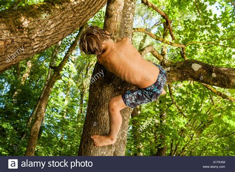 R Ckansicht Des Kleinen Jungen Klettern Auf Einen Baum Im Wald