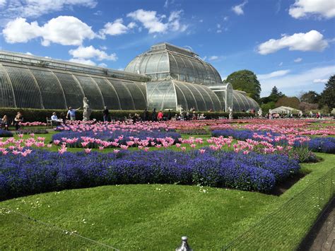 Kew Gardens Does It Live Up To The Hype Wander Mum
