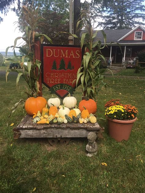 He noted that supply can be affected by a number of variables including the willingness of landowners to put their timber on the market, current trends in land conservation that limit tree harvesting, economic conditions and competition from other countries. Dumas Tree Farm | Visit CT
