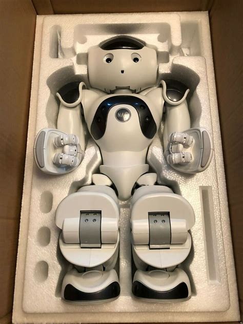 Nao Robot V6 Dark Grey Humanoid Robot By Softbank Robotics