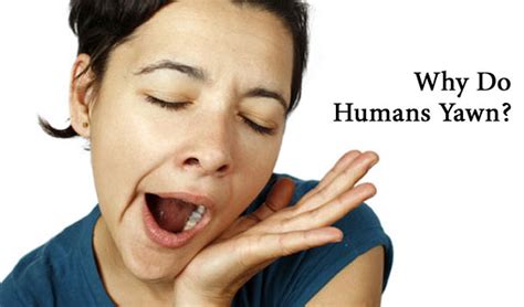 Yawning is a mystery, and i decided to find out more about it. Weird Body Quirks :: YummyMummyClub.ca