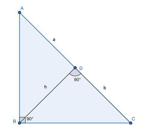 Altura De Un Triángulo Qué Es Definición Y Concepto 2023