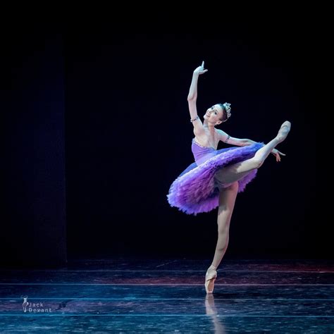 Svetlana Zakharova In The Ballet Gala Stars 2015 Svetlana Zakharova Ballet Photography