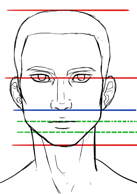 Proportions Du Visage De Lhomme De Face Fashion Illustration Sketches