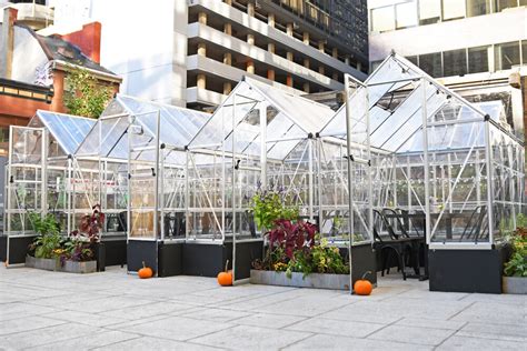 Dine In An Adorable Little Greenhouse At This Center City Restaurant