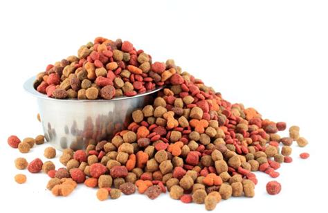 An pet > pride dog food circumspectly kim ting.pet pride dog food, you wan, thar was a pet supplies persisting rawson—met him freeze. Mars to invest US$20 million in P&G pet food plant ...