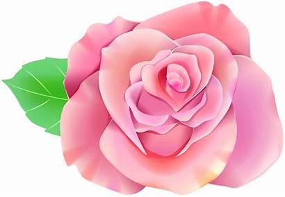Rose Single Clip Flower Clipart Roses Yopriceville