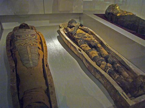 Manchester Museum Egyptian Mummies 2008 Flickr Photo Sharing