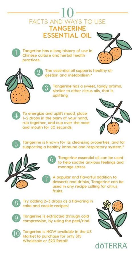 Doterra Tangerine Essential Oil Uses And Benefits Tangerine Essential