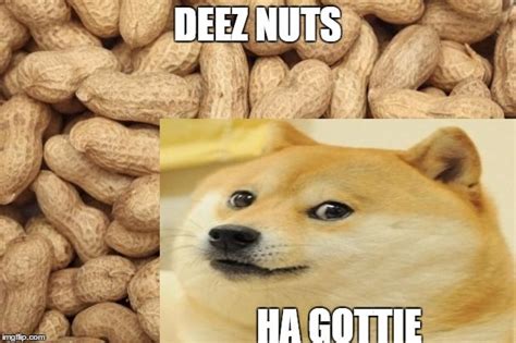 Meme Nut Jokes Perpustakaan Sekolah