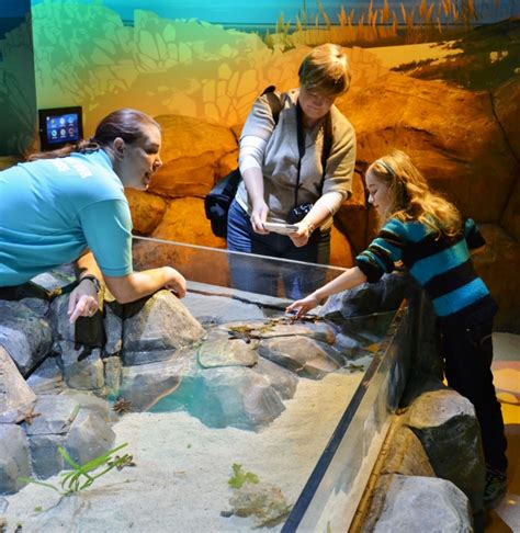 Sea Life Comes to Great Lakes