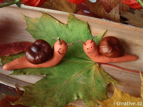 Clay And Chestnut Or Conker Snails From I Creativecz Animal
