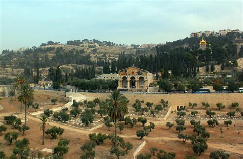 Jerusalem Path Of Jesus Tour Musement