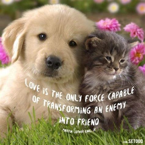 In this post i'd like to share the best friendship quotes i've found in the past 10+ years. Love is the only force capable of transforming an enemy ...