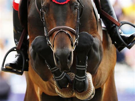 Equestrian Sport Wallpaper Free Horse Jumping Image HD Wallpapers Download Free Map Images Wallpaper [wallpaper684.blogspot.com]