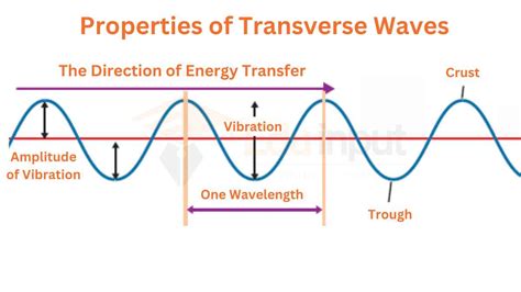 Transverse Waves Examples Diagram And Properties
