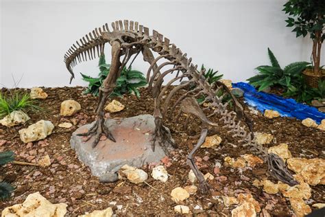 prehistoric preservation 3d printing dinosaur bones at swau re 3d 2022