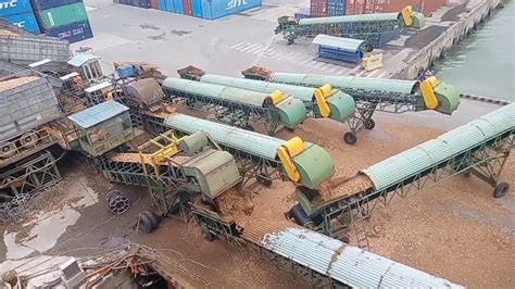 Wood Chips Carrier Loading Operation Danang Vietnam Youtube