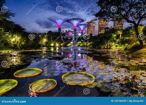 Beautiful Dusk At Garden By The Bay Editorial Image Image Of