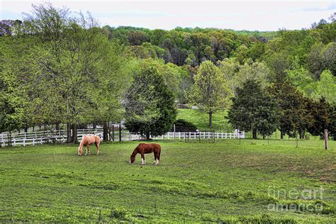 Horse Ranch Green Pastures Landscape Photograph By Chuck Kuhn Fine